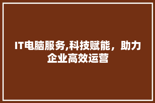 IT电脑服务,科技赋能，助力企业高效运营