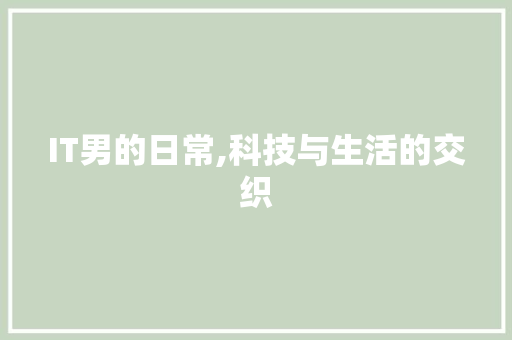 IT男的日常,科技与生活的交织