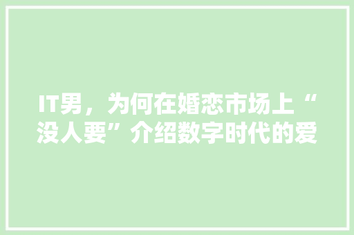 IT男，为何在婚恋市场上“没人要”介绍数字时代的爱情谜题