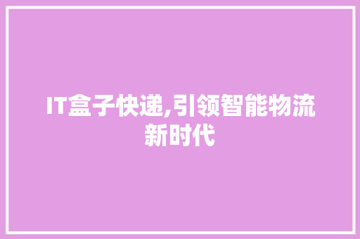 IT盒子快递,引领智能物流新时代