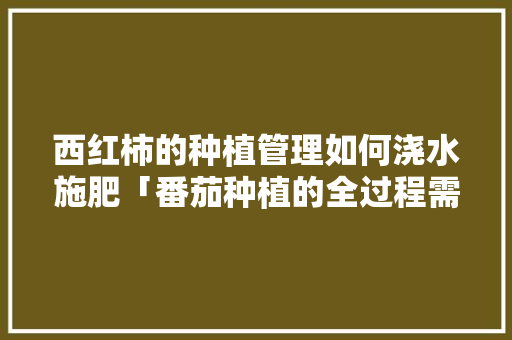 西红柿的种植管理如何浇水施肥「番茄种植的全过程需要怎样施肥」 西红柿的种植管理如何浇水施肥「番茄种植的全过程需要怎样施肥」 农业常识