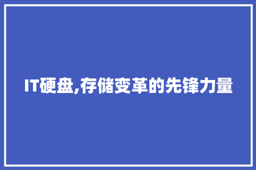 IT硬盘,存储变革的先锋力量