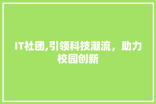 IT社团,引领科技潮流，助力校园创新
