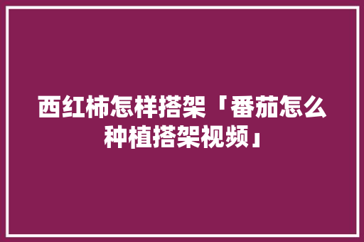 西红柿怎样搭架「番茄怎么种植搭架视频」 西红柿怎样搭架「番茄怎么种植搭架视频」 番茄种植技巧