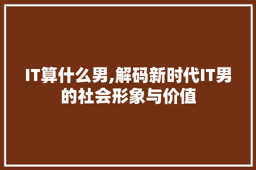 IT算什么男,解码新时代IT男的社会形象与价值