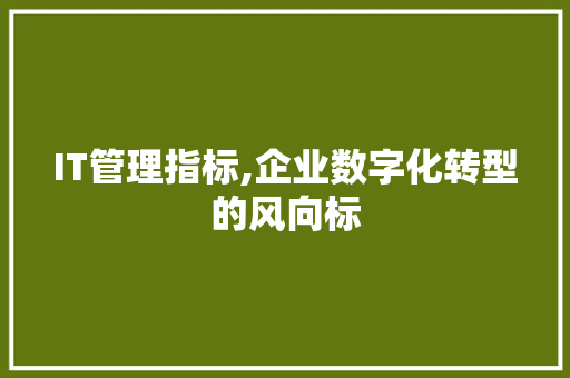 IT管理指标,企业数字化转型的风向标