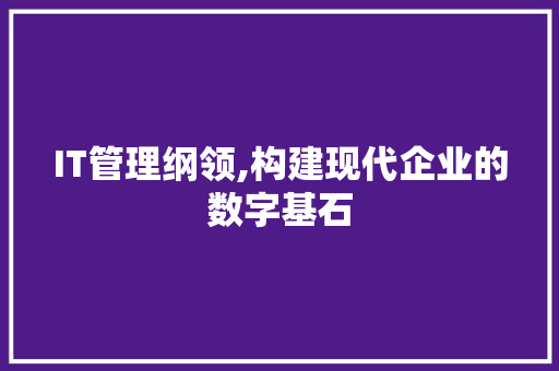IT管理纲领,构建现代企业的数字基石