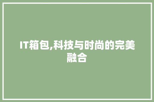 IT箱包,科技与时尚的完美融合