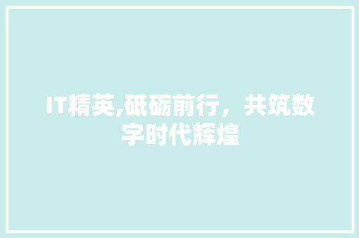 IT精英,砥砺前行，共筑数字时代辉煌