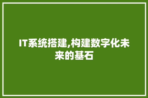 IT系统搭建,构建数字化未来的基石 IT系统搭建,构建数字化未来的基石