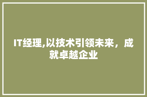 IT经理,以技术引领未来，成就卓越企业