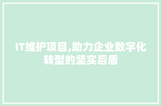 IT维护项目,助力企业数字化转型的坚实后盾
