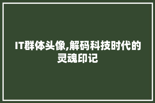 IT群体头像,解码科技时代的灵魂印记
