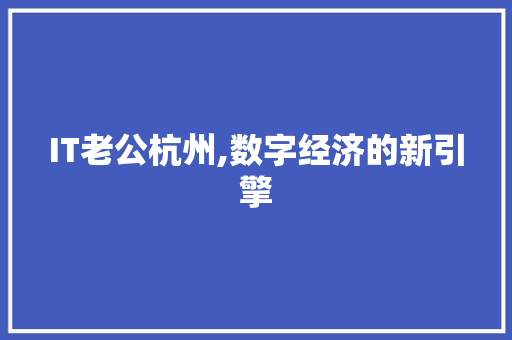 IT老公杭州,数字经济的新引擎