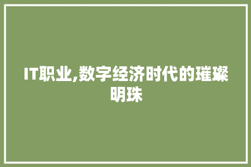 IT职业,数字经济时代的璀璨明珠