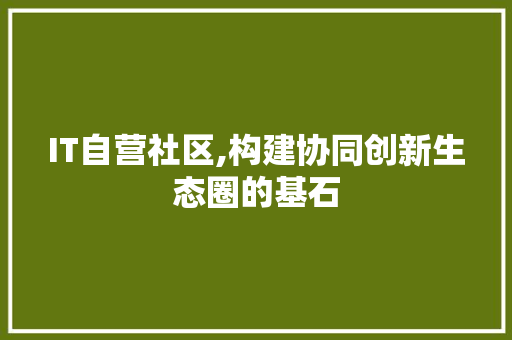 IT自营社区,构建协同创新生态圈的基石