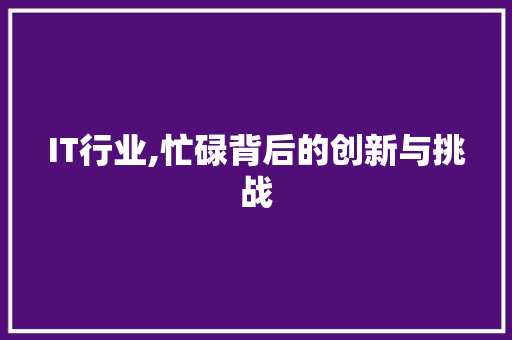 IT行业,忙碌背后的创新与挑战