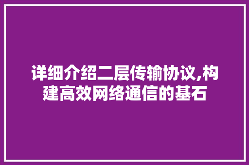 详细介绍二层传输协议,构建高效网络通信的基石 番茄种植技巧