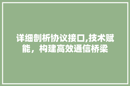 详细剖析协议接口,技术赋能，构建高效通信桥梁