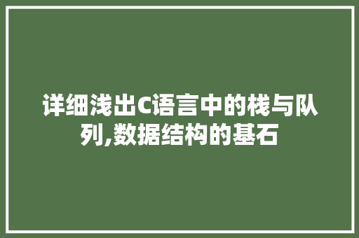 详细浅出C语言中的栈与队列,数据结构的基石