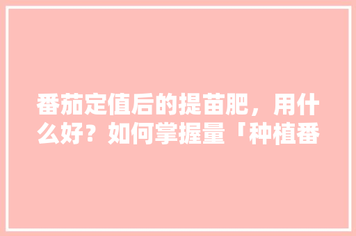 番茄定值后的提苗肥，用什么好？如何掌握量「种植番茄怎么施底肥最好」 番茄定值后的提苗肥，用什么好？如何掌握量「种植番茄怎么施底肥最好」 土壤施肥