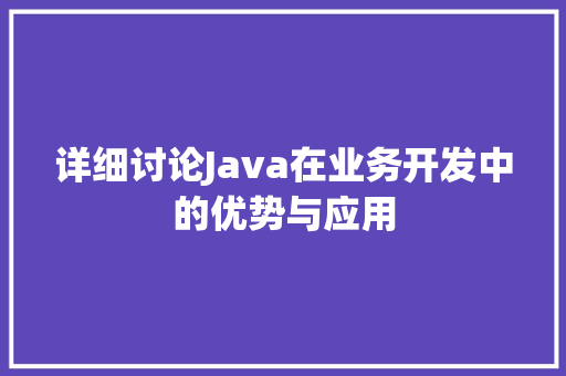 详细讨论Java在业务开发中的优势与应用