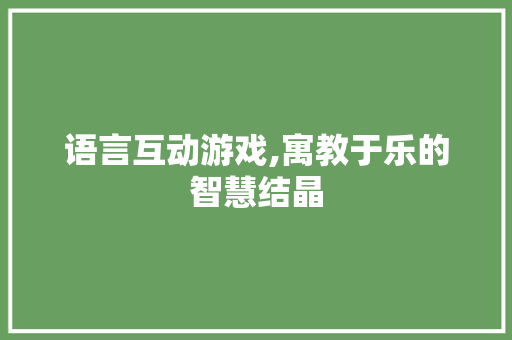 语言互动游戏,寓教于乐的智慧结晶