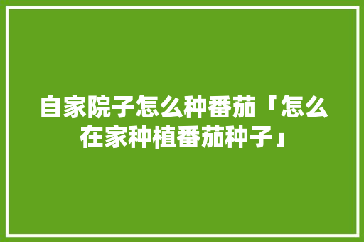 自家院子怎么种番茄「怎么在家种植番茄种子」 自家院子怎么种番茄「怎么在家种植番茄种子」 番茄病虫害防治