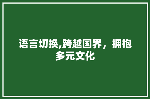 语言切换,跨越国界，拥抱多元文化