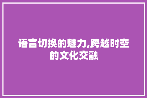 语言切换的魅力,跨越时空的文化交融