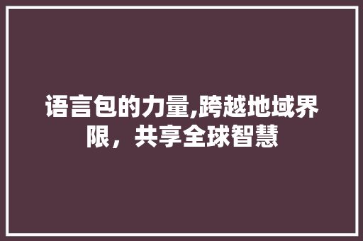 语言包的力量,跨越地域界限，共享全球智慧