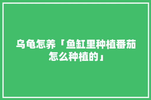 乌龟怎养「鱼缸里种植番茄怎么种植的」 乌龟怎养「鱼缸里种植番茄怎么种植的」 番茄种植技巧