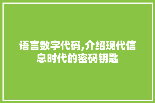 语言数字代码,介绍现代信息时代的密码钥匙