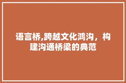 语言桥,跨越文化鸿沟，构建沟通桥梁的典范