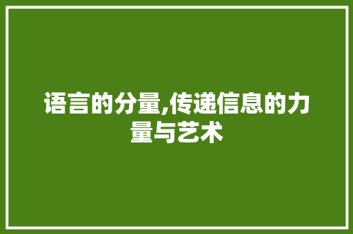 语言的分量,传递信息的力量与艺术