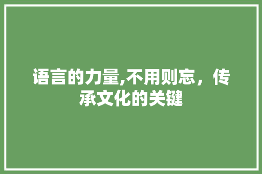 语言的力量,不用则忘，传承文化的关键