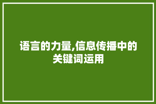 语言的力量,信息传播中的关键词运用