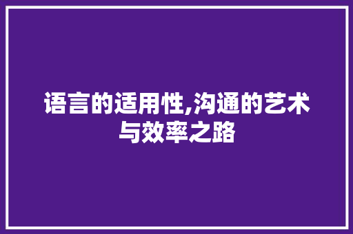 语言的适用性,沟通的艺术与效率之路