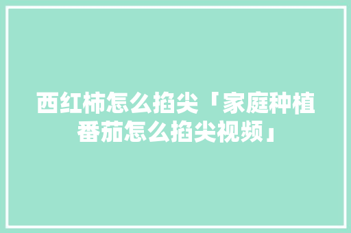 西红柿怎么掐尖「家庭种植番茄怎么掐尖视频」 西红柿怎么掐尖「家庭种植番茄怎么掐尖视频」 土壤施肥