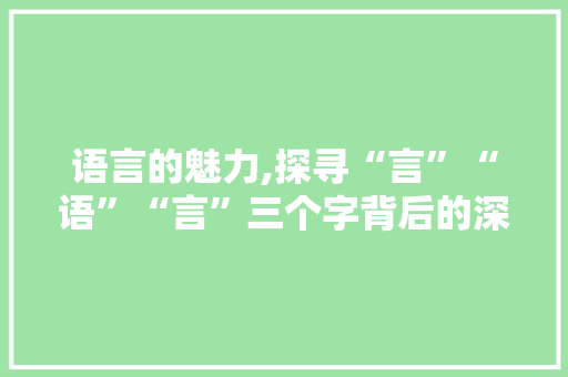 语言的魅力,探寻“言”“语”“言”三个字背后的深刻内涵