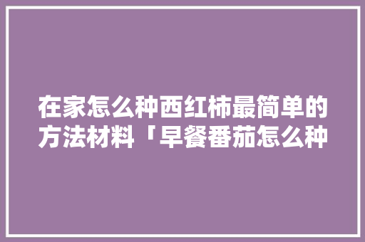 在家怎么种西红柿最简单的方法材料「早餐番茄怎么种植方法视频」 在家怎么种西红柿最简单的方法材料「早餐番茄怎么种植方法视频」 花朵知识