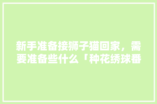 新手准备接狮子猫回家，需要准备些什么「种花绣球番茄怎么种植视频」 新手准备接狮子猫回家，需要准备些什么「种花绣球番茄怎么种植视频」 土壤施肥