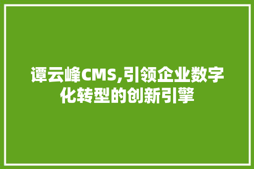 谭云峰CMS,引领企业数字化转型的创新引擎