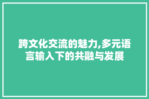 跨文化交流的魅力,多元语言输入下的共融与发展