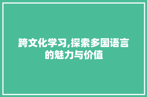 跨文化学习,探索多国语言的魅力与价值