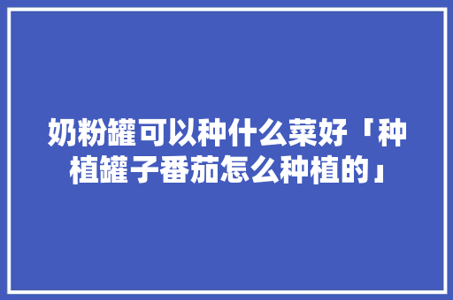 奶粉罐可以种什么菜好「种植罐子番茄怎么种植的」 奶粉罐可以种什么菜好「种植罐子番茄怎么种植的」 植物种类