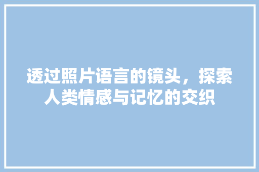 透过照片语言的镜头，探索人类情感与记忆的交织 花朵知识