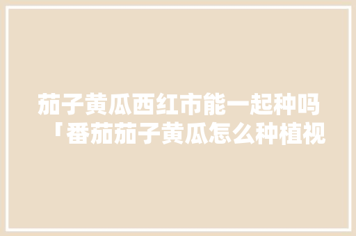茄子黄瓜西红市能一起种吗「番茄茄子黄瓜怎么种植视频」 茄子黄瓜西红市能一起种吗「番茄茄子黄瓜怎么种植视频」 花朵知识