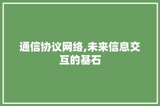 通信协议网络,未来信息交互的基石