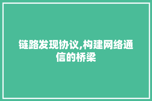 链路发现协议,构建网络通信的桥梁